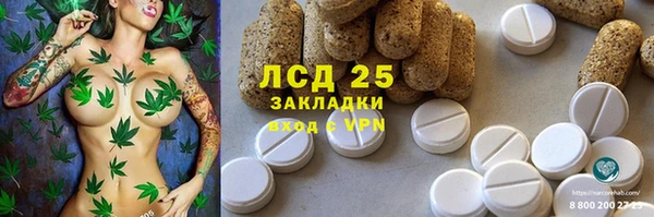 хмурый Аркадак