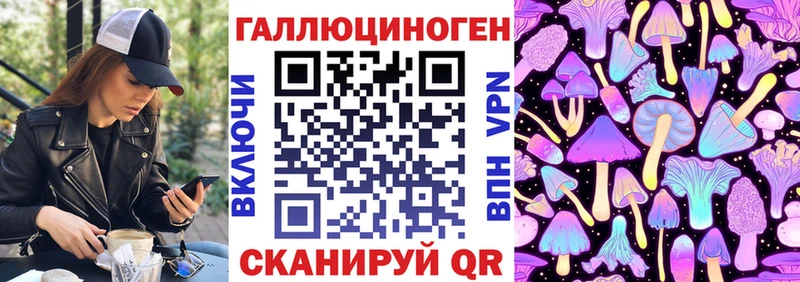 Галлюциногенные грибы Psilocybine cubensis  OMG как зайти  Белая Калитва  купить  